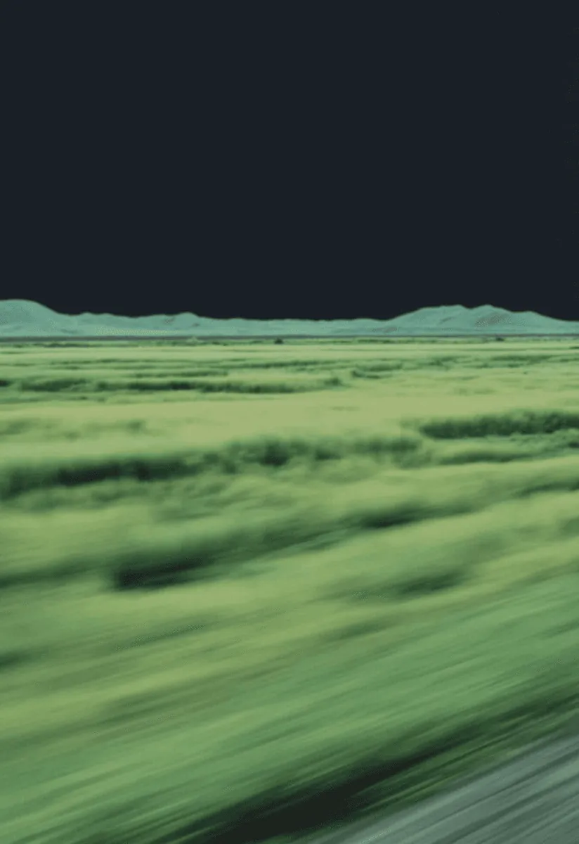 Grass streaked by motion under a dark sky