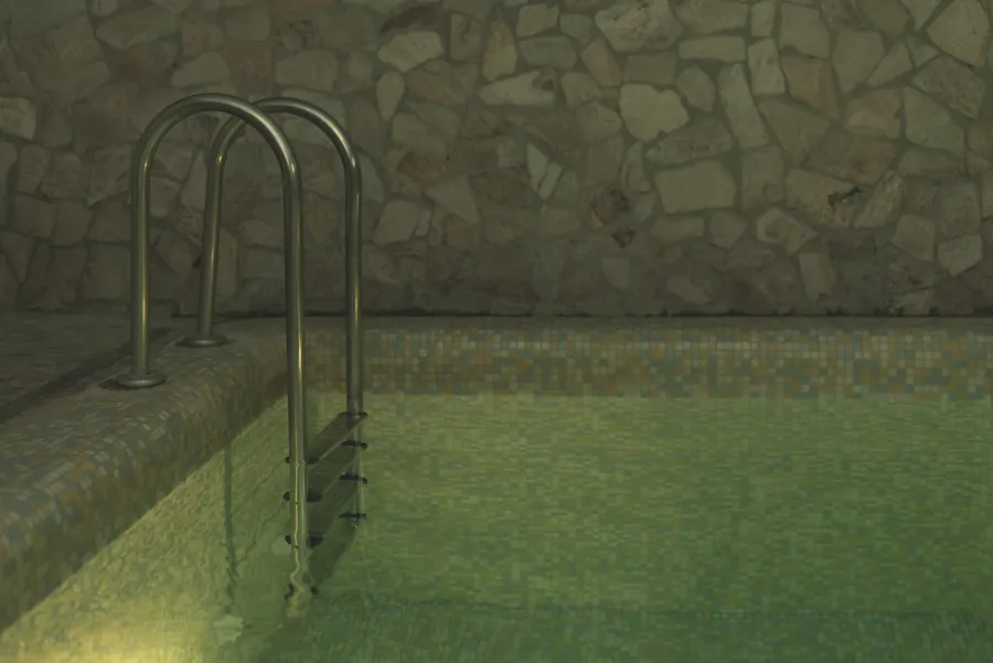 Steel pool ladder in murky green water