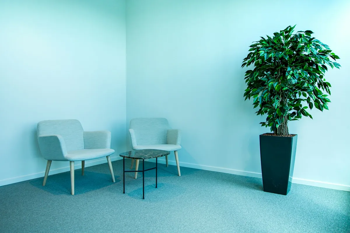A calm clinic waiting area