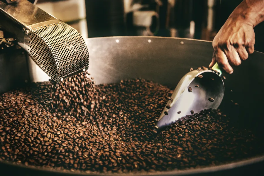 Freshly roasted coffee beans being scooped from the roaster