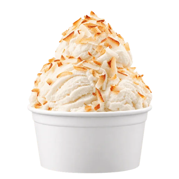 Coconut dairy-free ice cream in a plain white cup