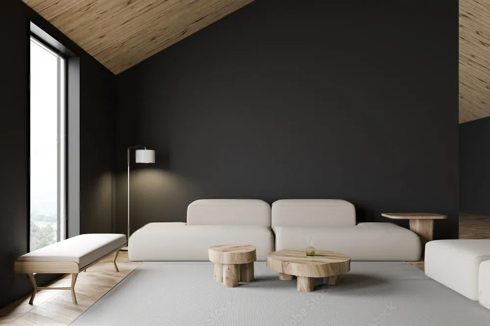 A minimalist lounge with a dark feature wall