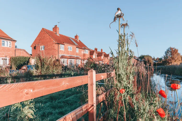 Red brick houses behind a fence and wildflowers by a stream