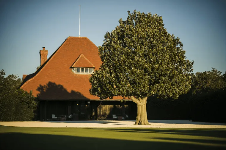 A house with an orange roof beside a large tree