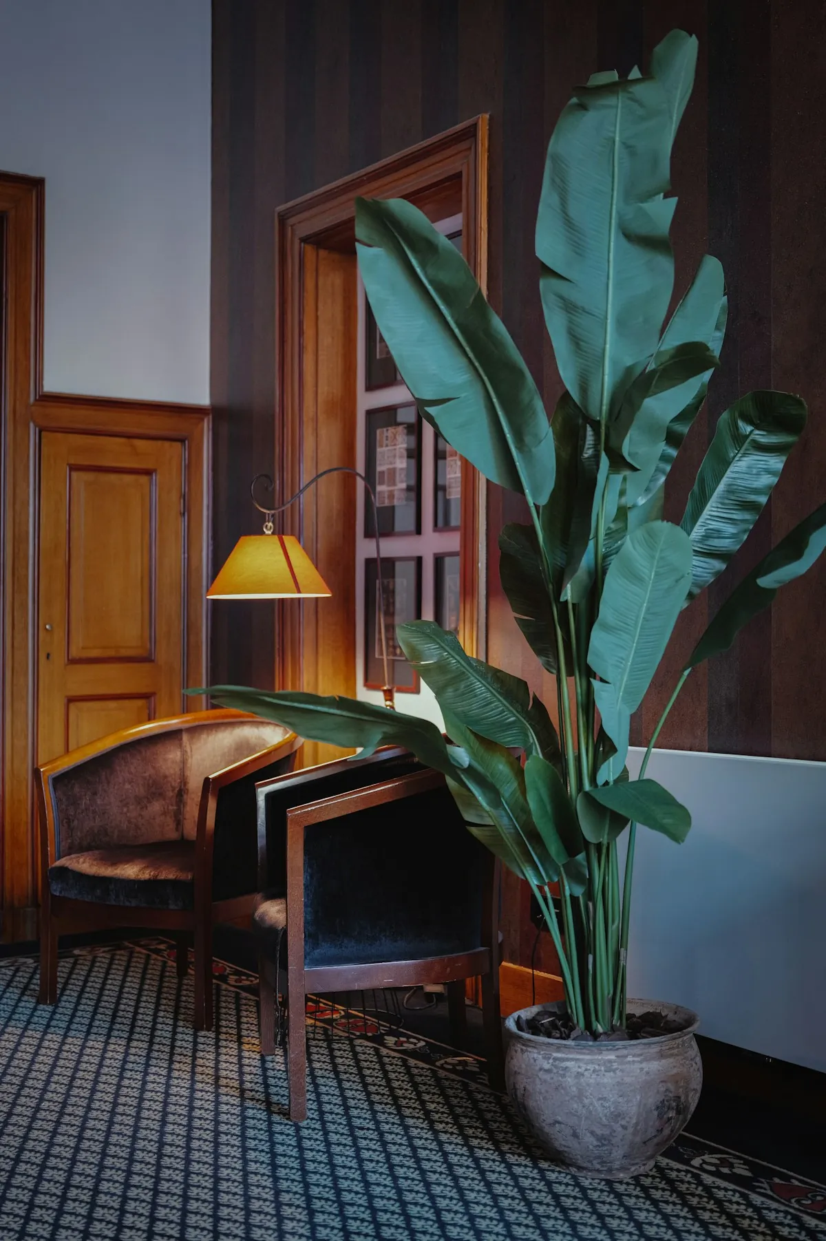 A wooden desk chair by a tall plant, on a patterned tiled floor with dark panelled walls