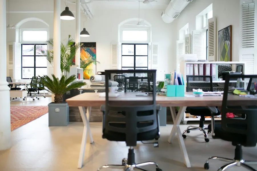 A bright open-plan office with desks and plants