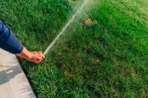 A technician adjusting a spray head at the edge of a lawn