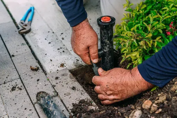 A technician fitting a new sprinkler head into the soil