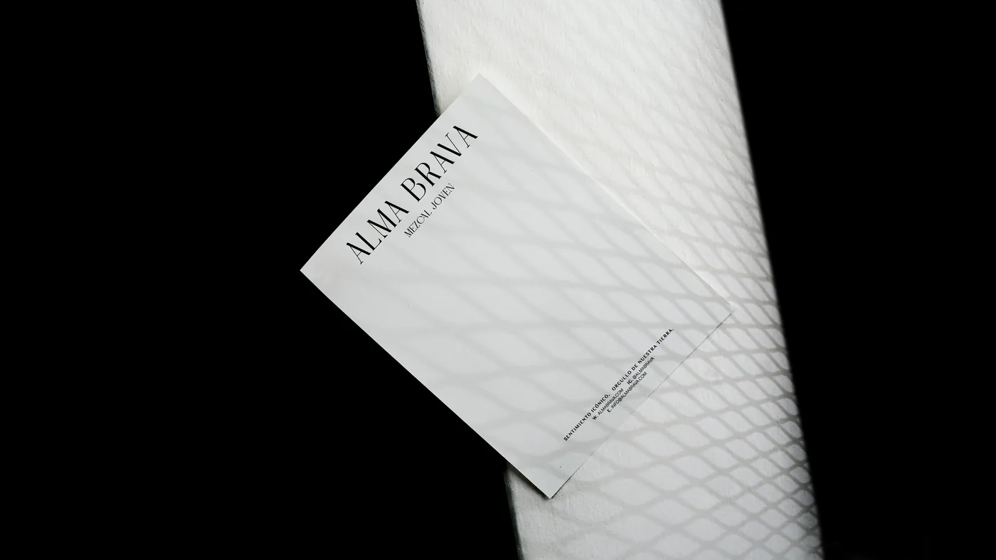 A letterhead lying across a white mesh panel in hard light