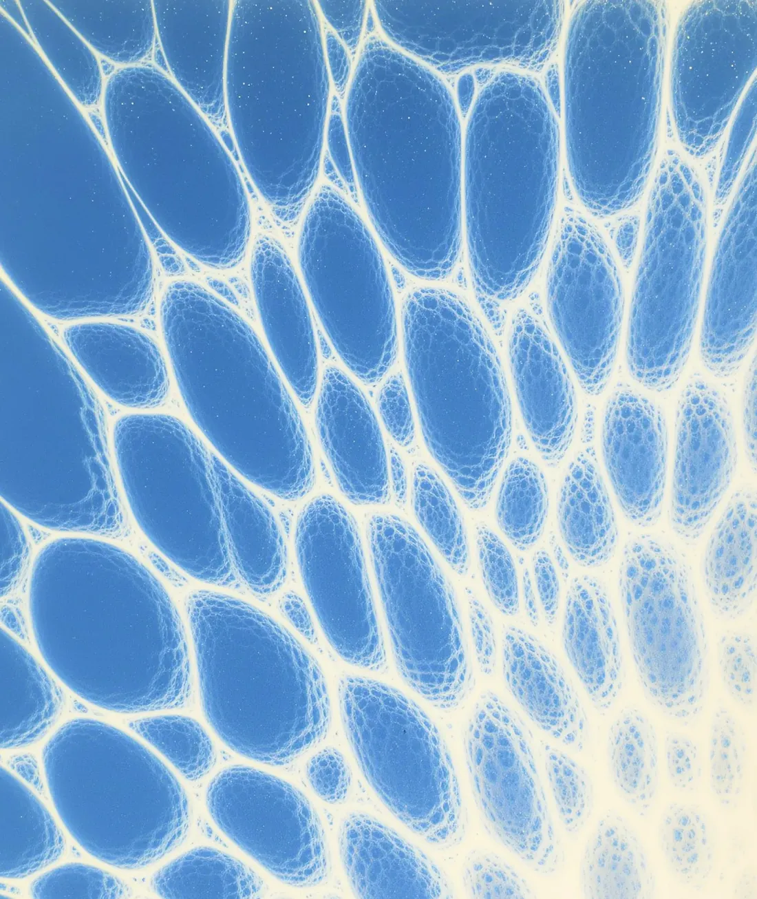A blue and cream pattern of rounded cells