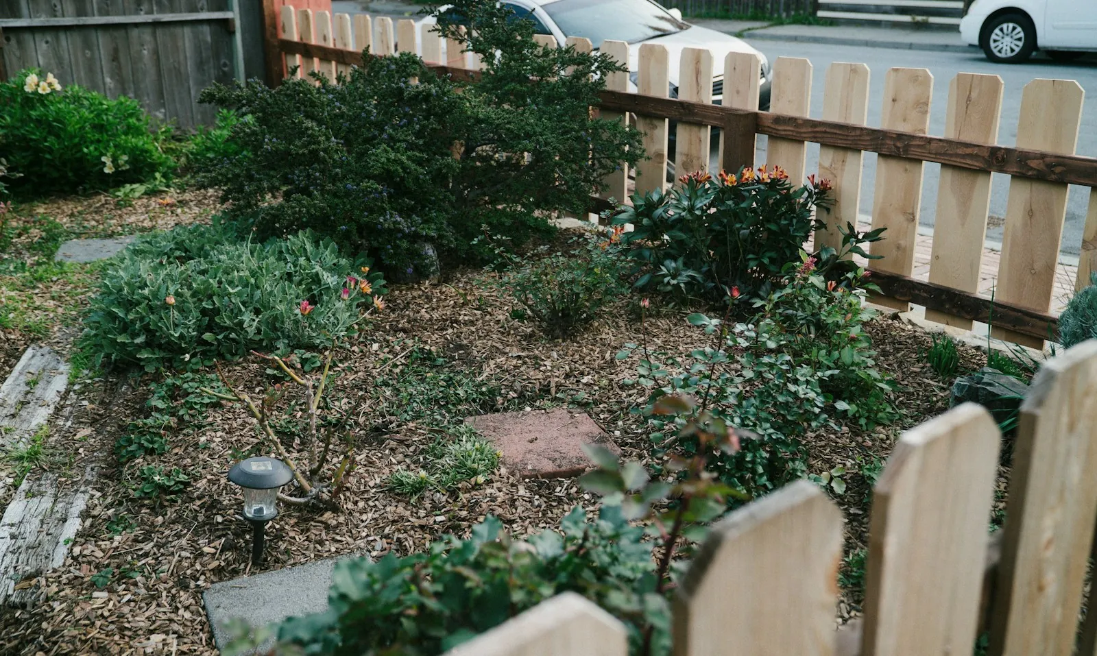 A planted garden bed beside a wooden fence