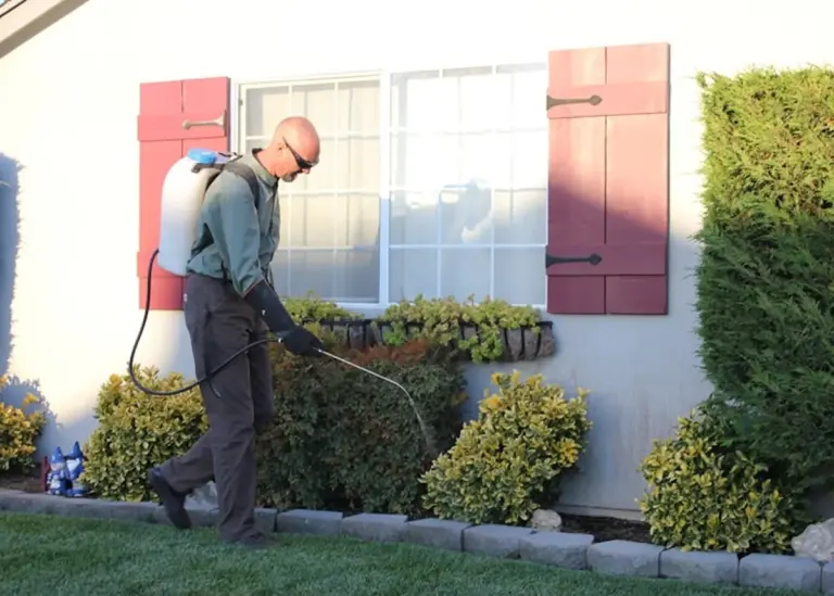 A technician spraying a garden outside a house