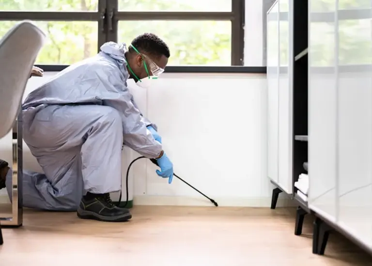 A technician treating an office floor