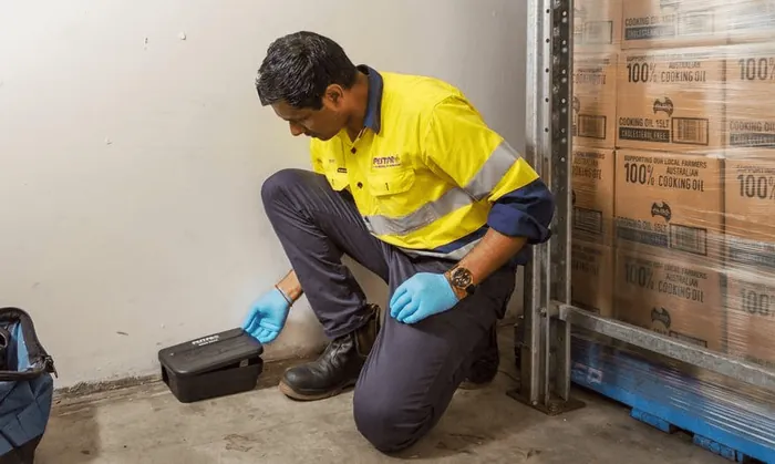 A technician placing a rodent bait station in a storeroom