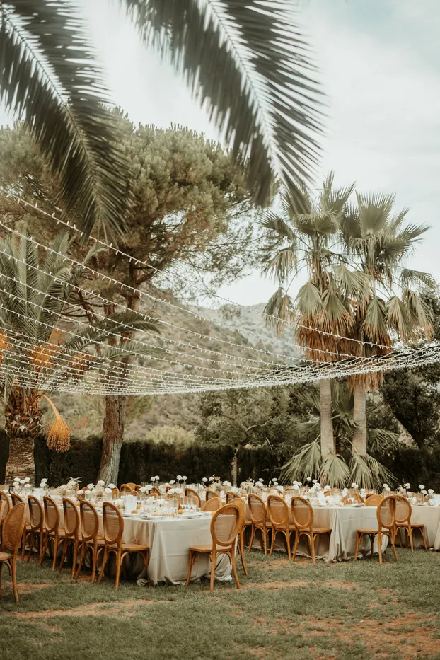 Long outdoor tables under palm trees