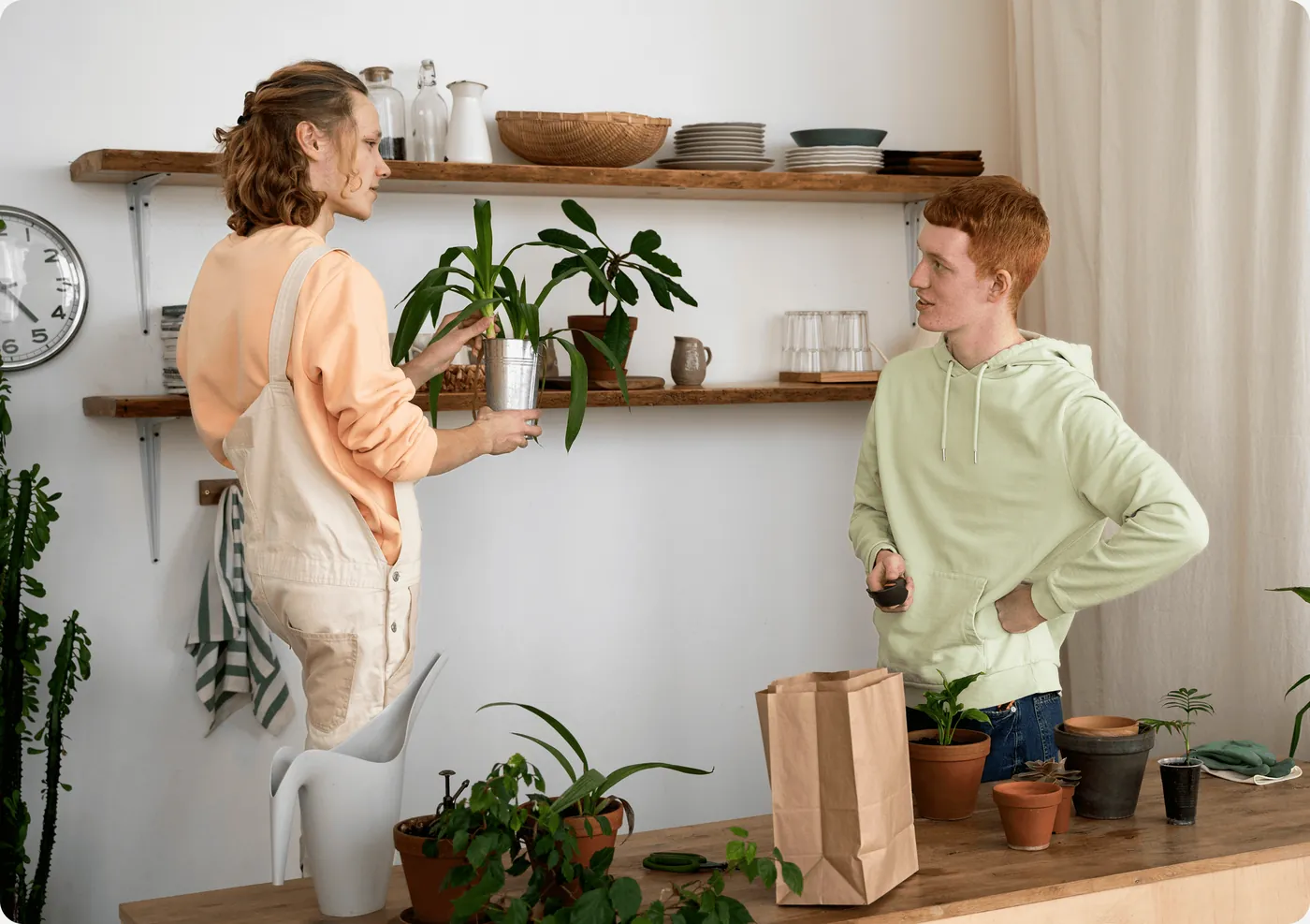 Two people arranging plants on kitchen shelves