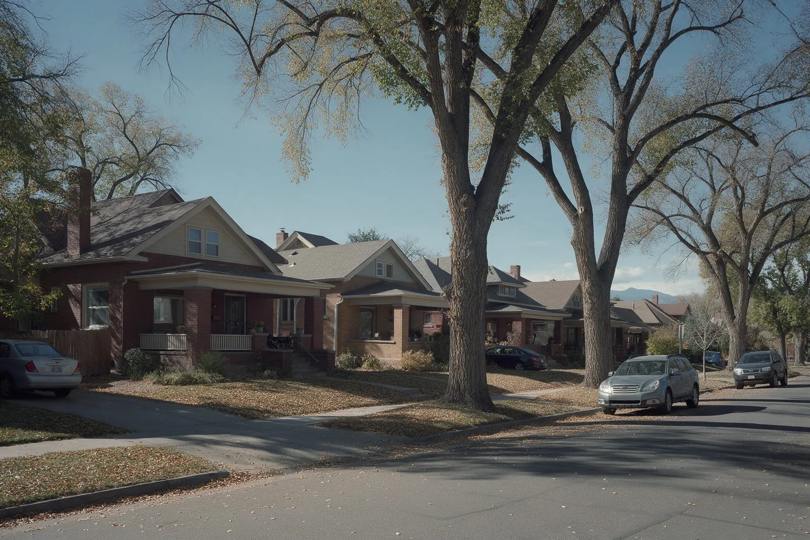 Row of 1920s brick bungalows under mature elm trees on a Washington Park street in autumn