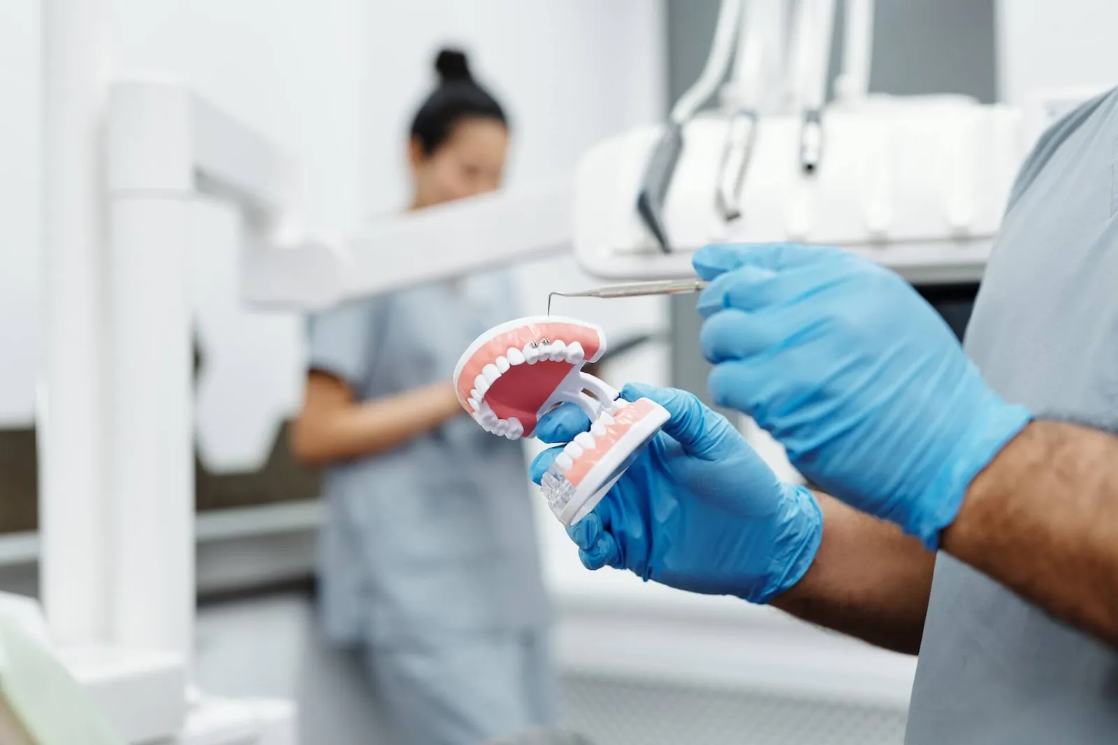 A dentist holding a model of teeth