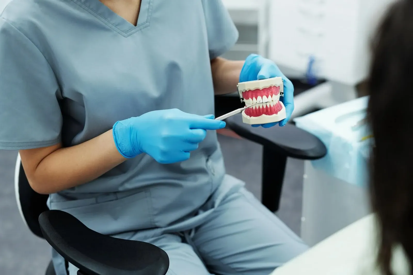 A dentist holding a model of teeth