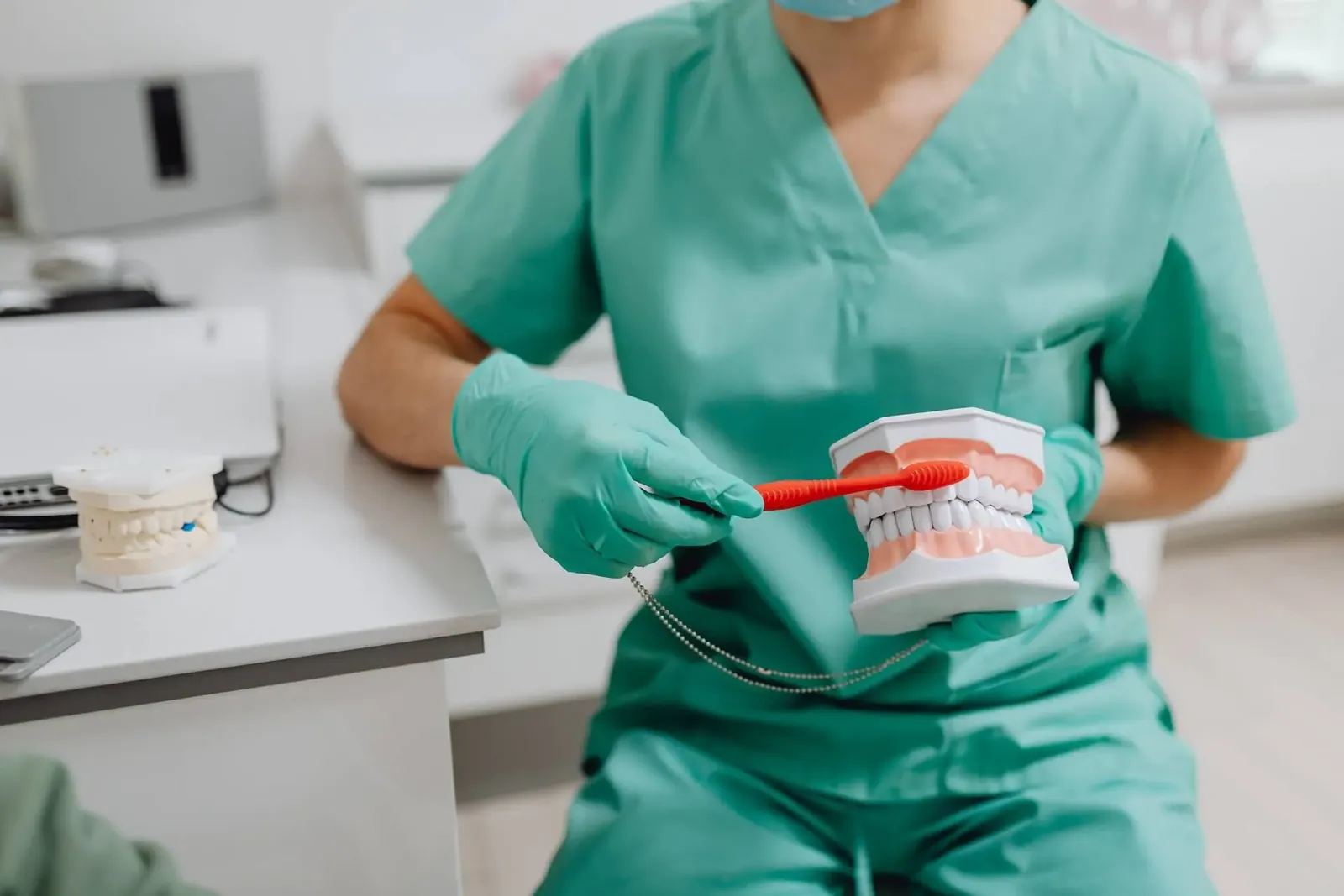 A dentist brushing a model of teeth