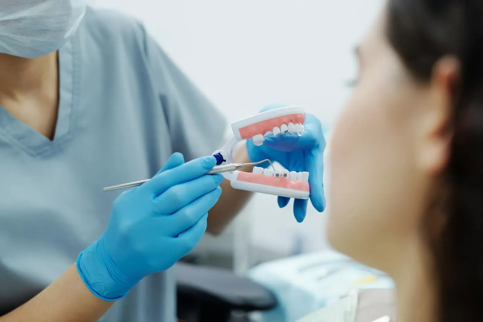 A dentist showing a patient a model of teeth
