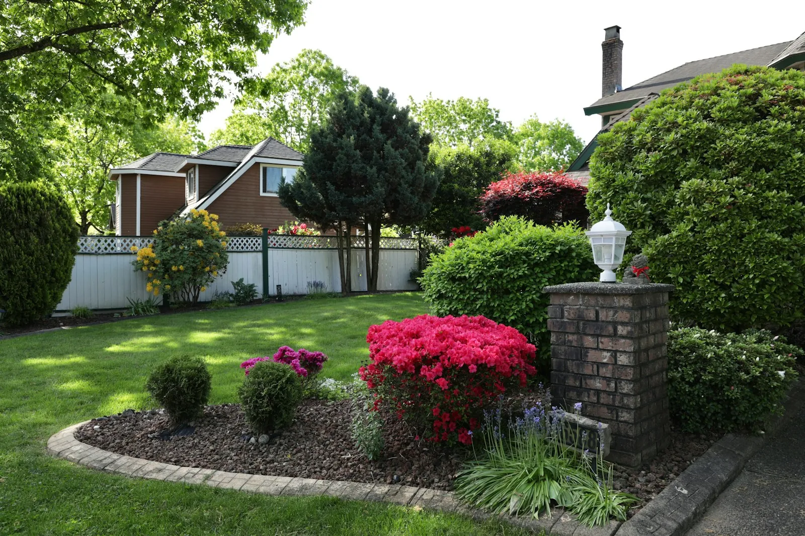 A front garden of azaleas, shrubs and lawn