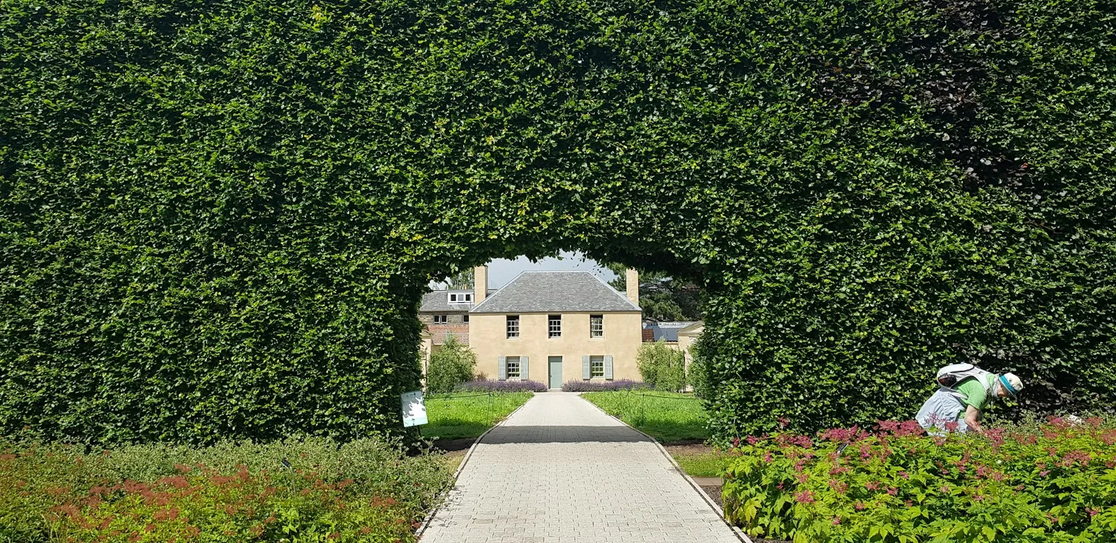 An arch cut through a tall hedge towards a house