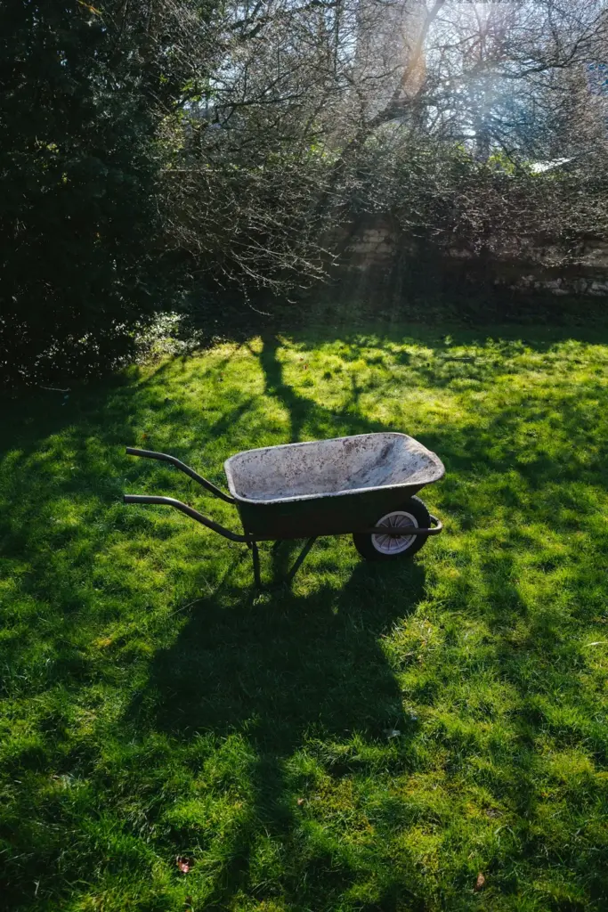 A wheelbarrow on a sunlit lawn