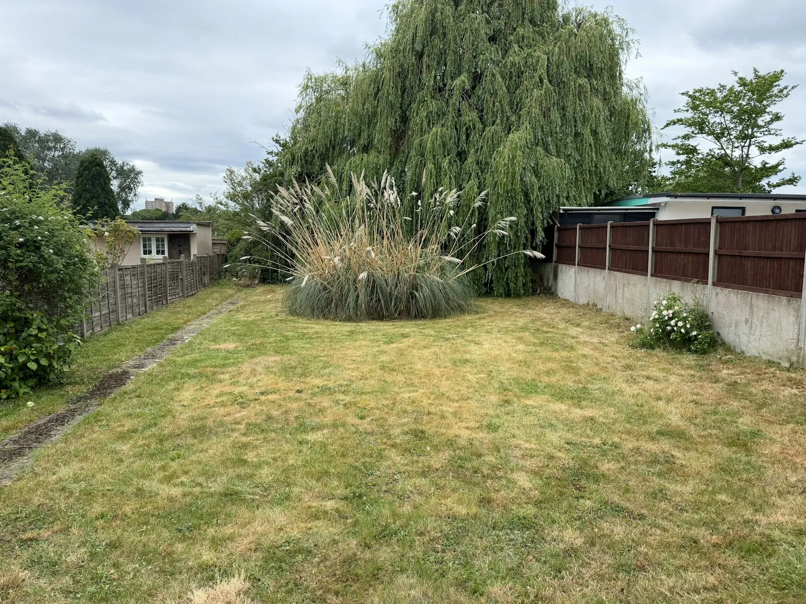 The garden before: a patchy lawn by a tired fence