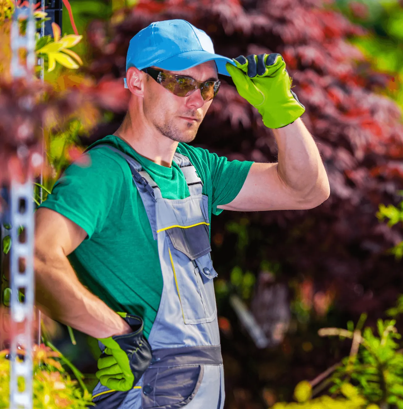 A gardener in a cap and gloves among the shrubs