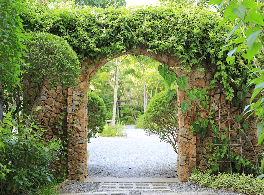 A stone arch covered in ivy over a garden path