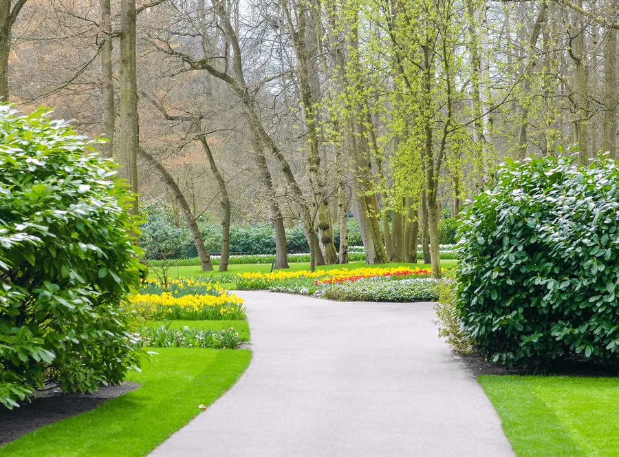 A winding path through a park in spring