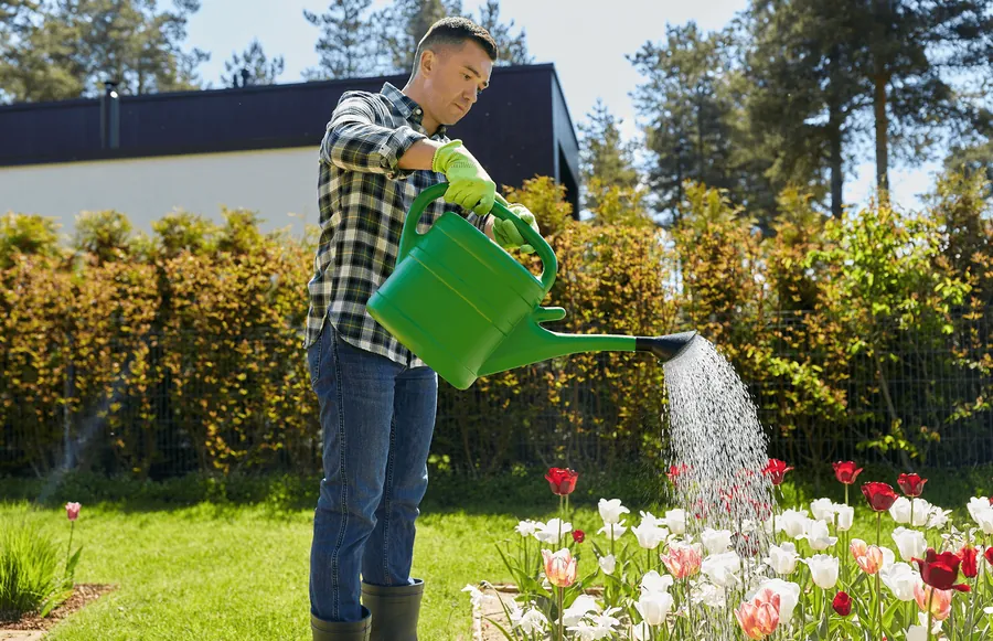 A man watering flowers with a green watering can