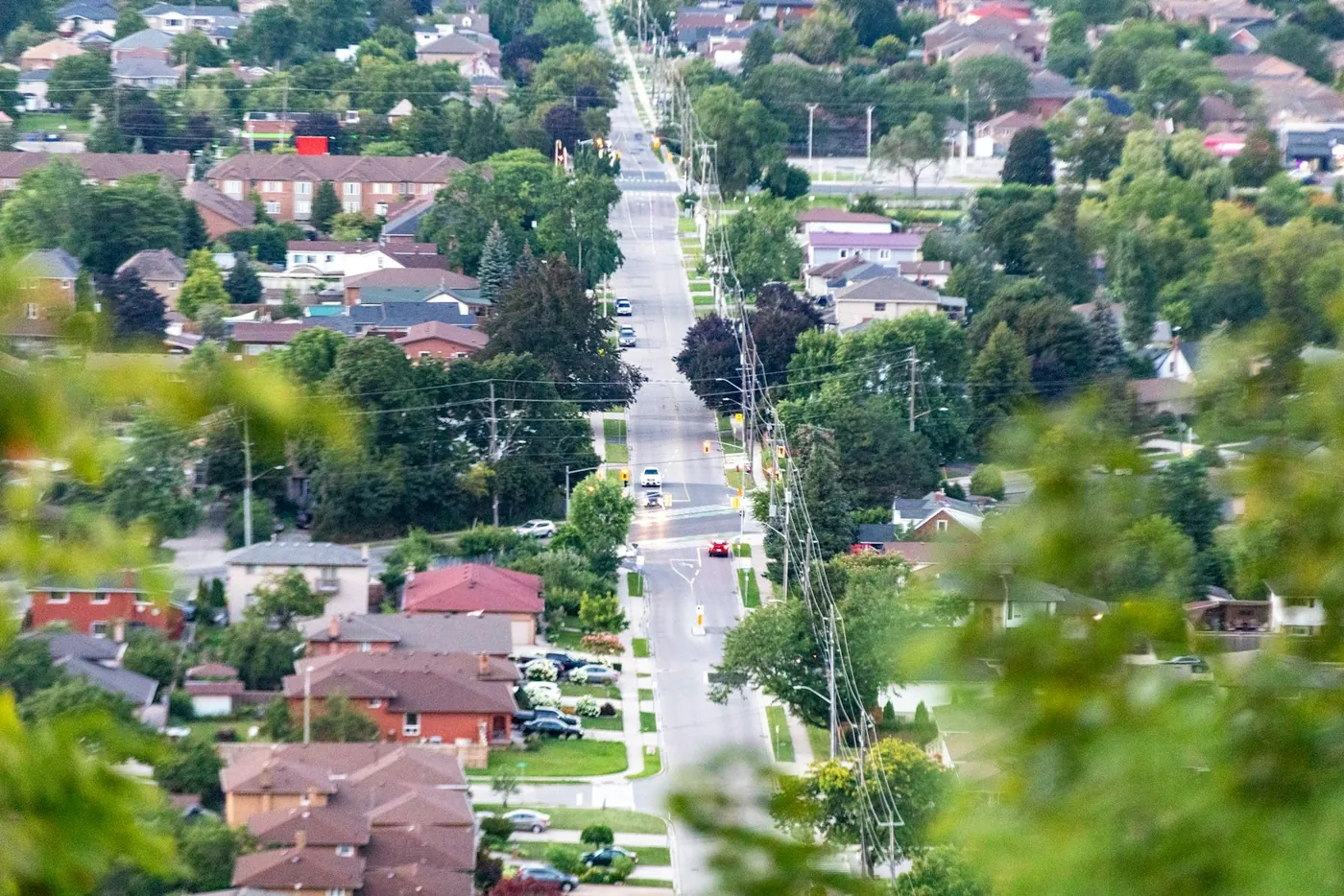 Tree-lined residential neighborhood seen from above