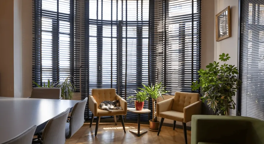 An office lounge with tall windows