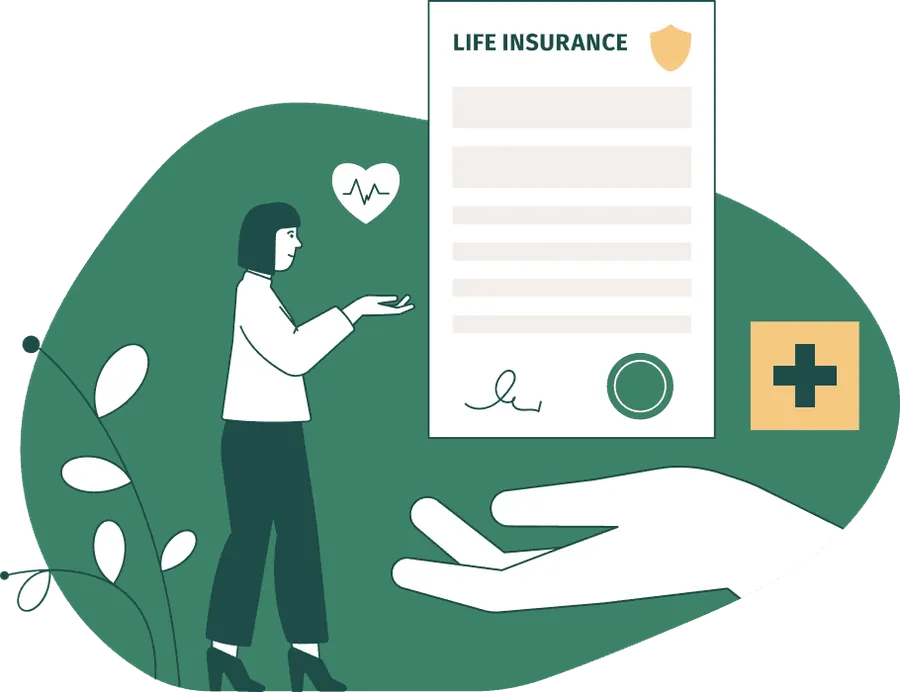 An illustration of a life insurance policy
