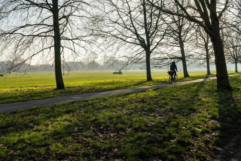 A person walking through a park lined with bare trees