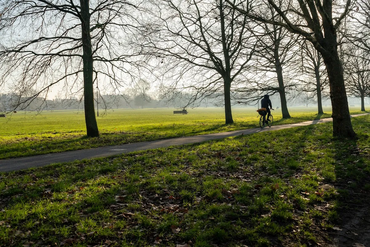 A person walking through a park lined with bare trees