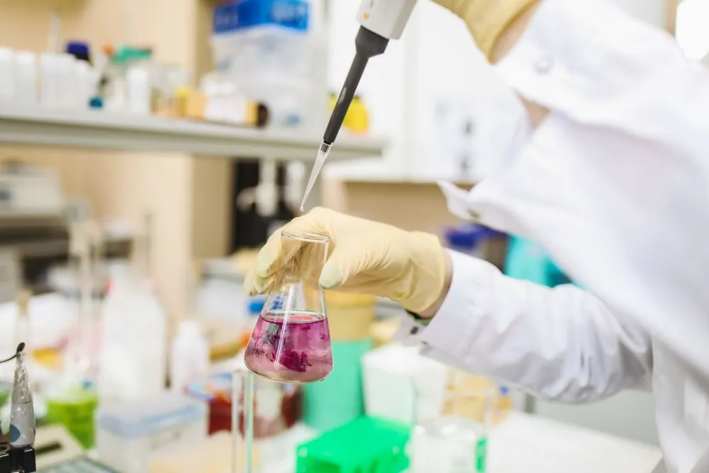 A lab technician pipetting a sample