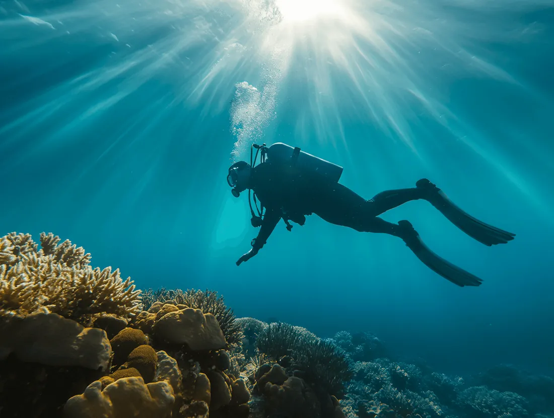 A diver over a reef in sunlit water