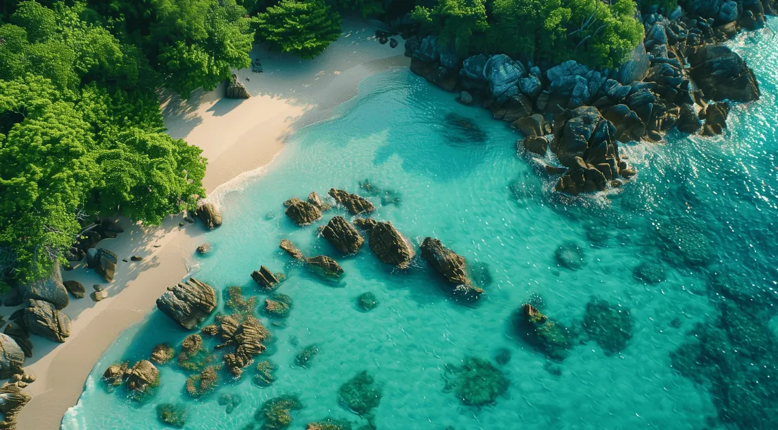 Turquoise water and rocks along a green coast seen from above