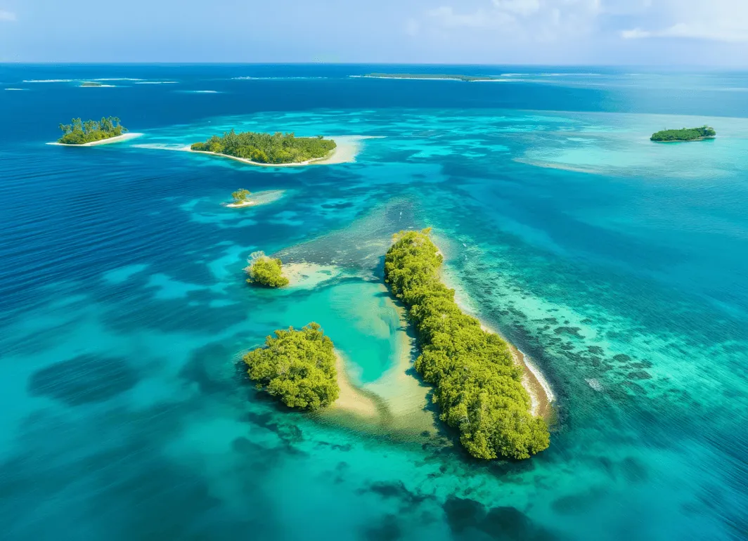Small green islands in a turquoise sea seen from above