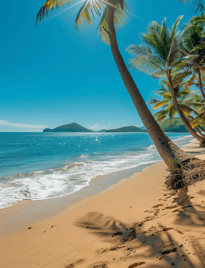 A sandy beach with palm trees and blue water