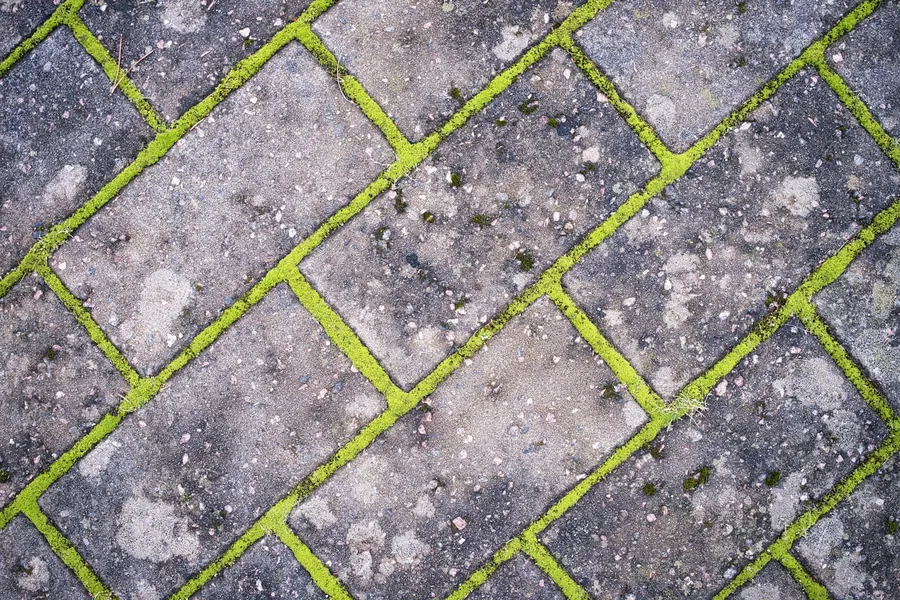 Pavers with moss and grime before cleaning